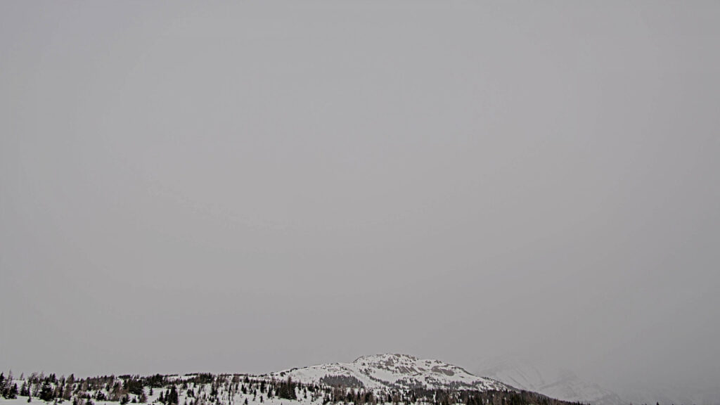 aurora webcam