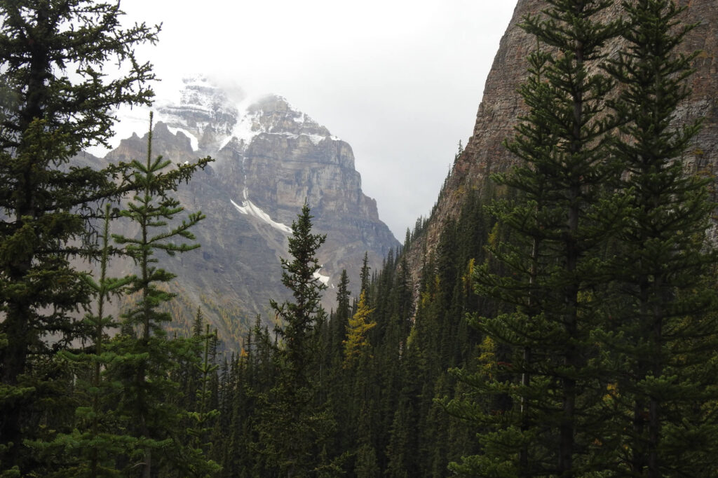 Hiking the moderate Lake Agnes trail